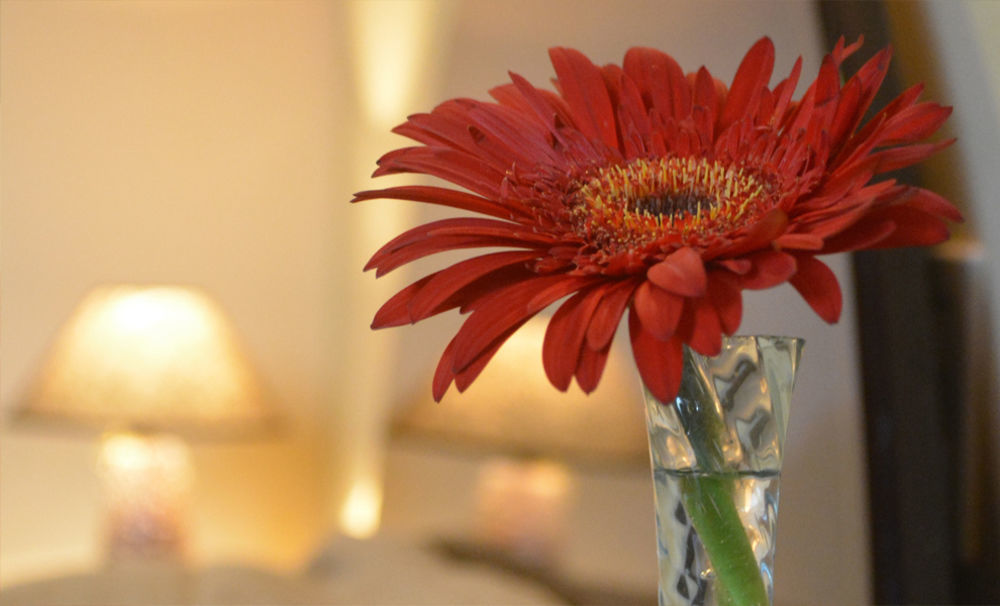 Hotel Osira La Paz Dış mekan fotoğraf